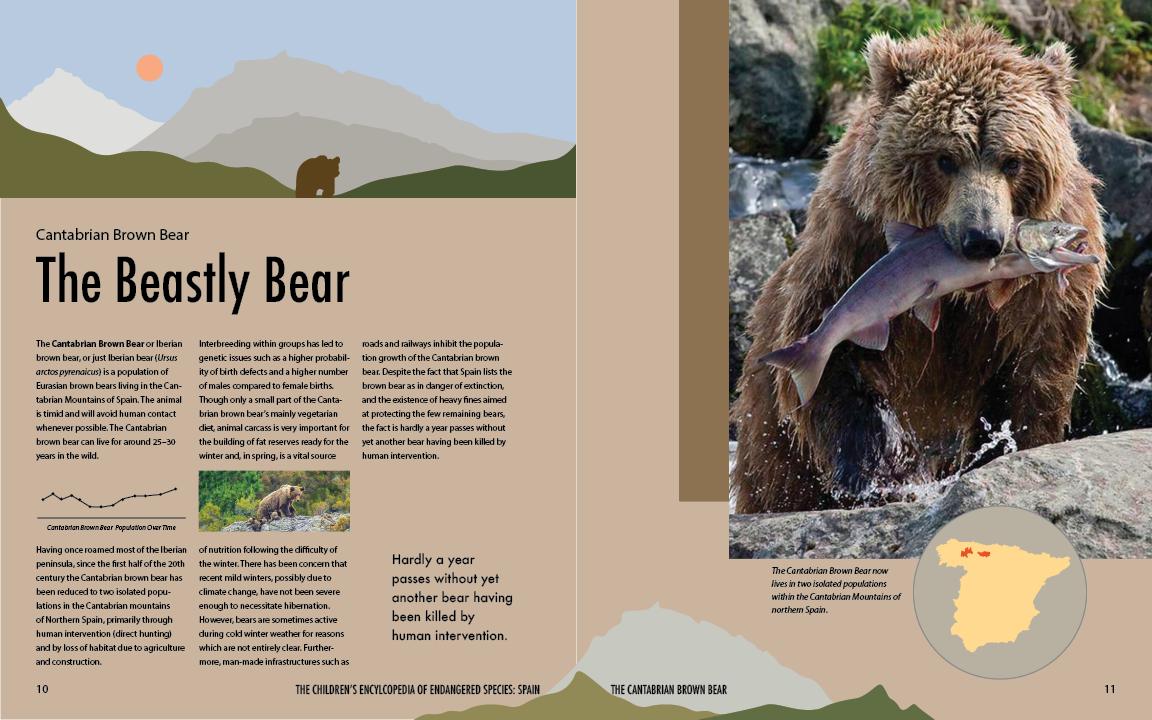 2 page spread about the Cantabrian Bear